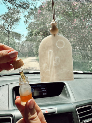 Desert Cactus Arch Car Diffuser