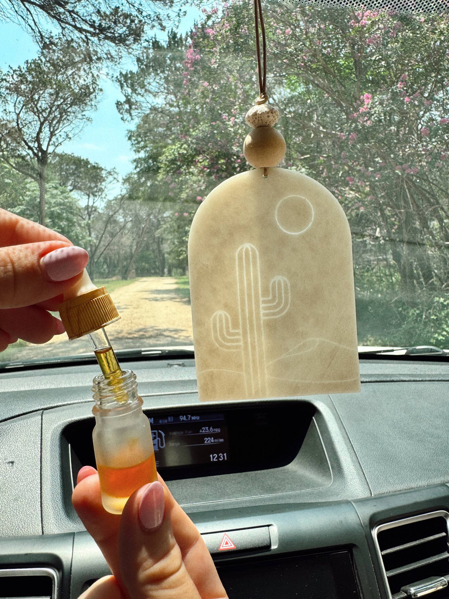 Desert Cactus Arch Car Diffuser