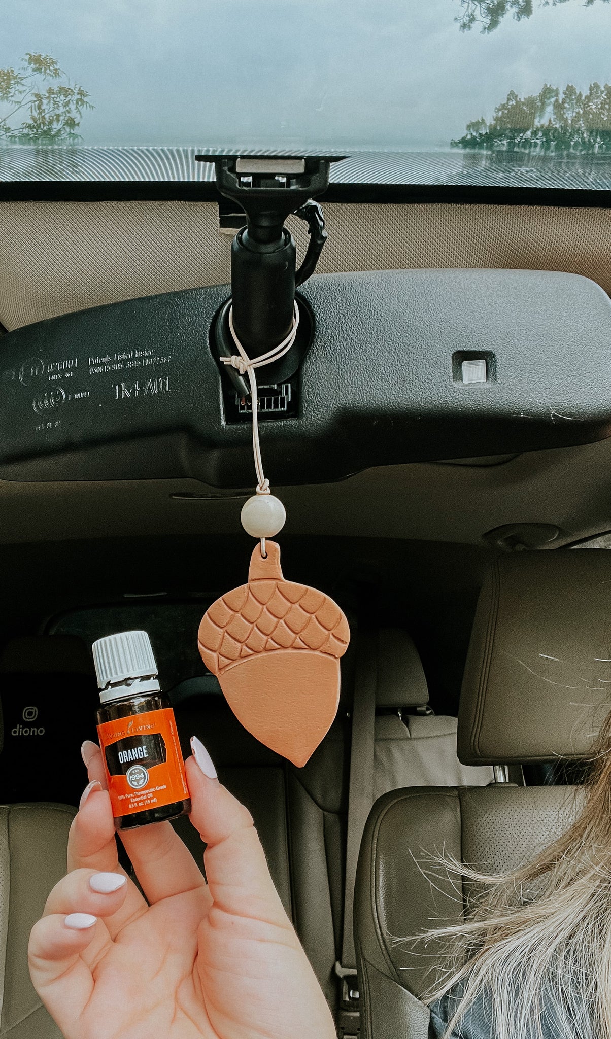 Acorn Essential Oil Car Diffuser